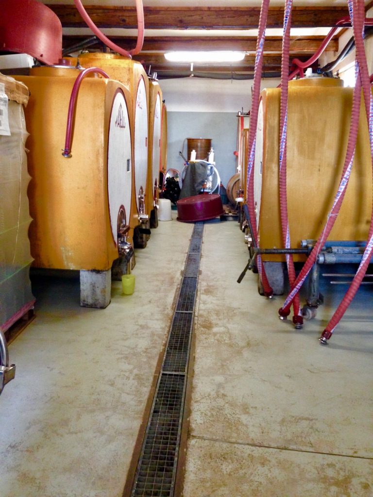 albone podere il saliceto enoplane