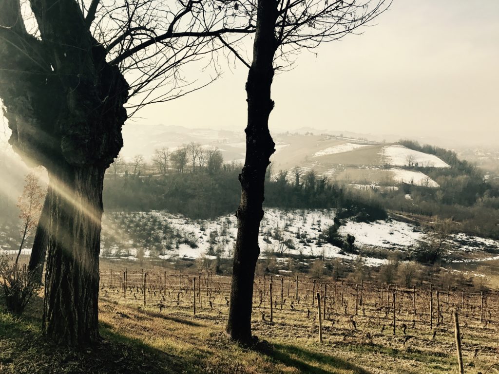 Cascina Roccalini Barbaresco Enoplane
