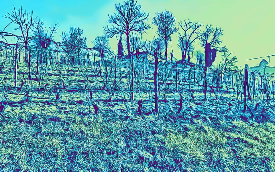 Cascina Roccalini Barbaresco