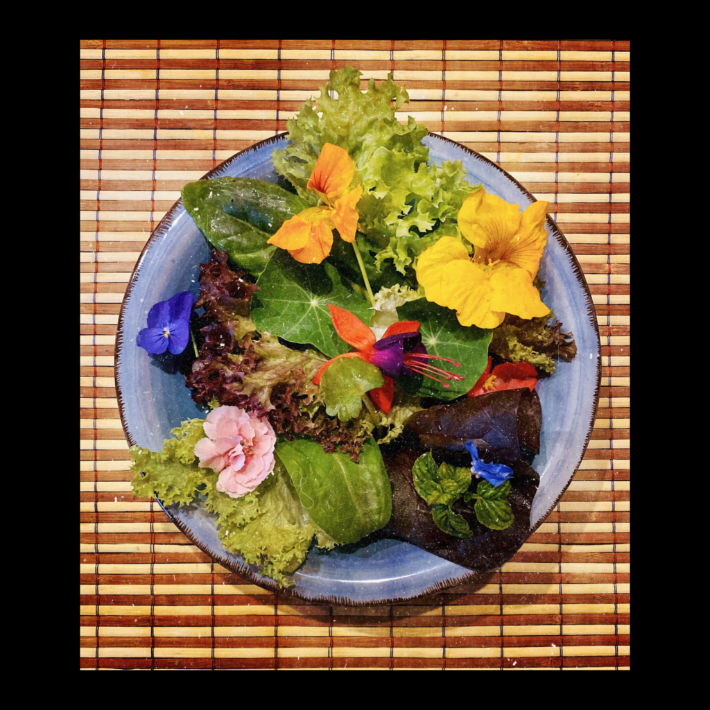 Food Delivery La Brinca Insalata