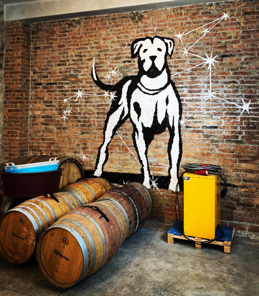 Canlibero Logo Canlibero Logo