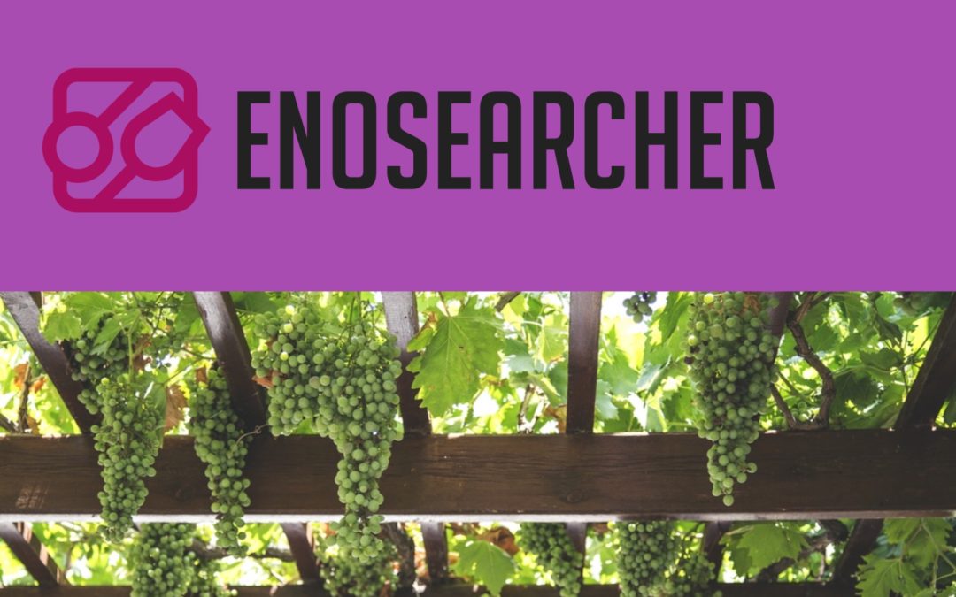 Tecnologia per lo stomaco #1: ENOSEARCHER, il motore di ricerca vini tutto italiano