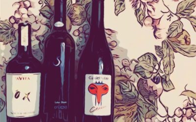 Terroir e OSSIDAZIONE: qualche riflessione successiva all’intervento del professor Moio al webinar dell’OIV