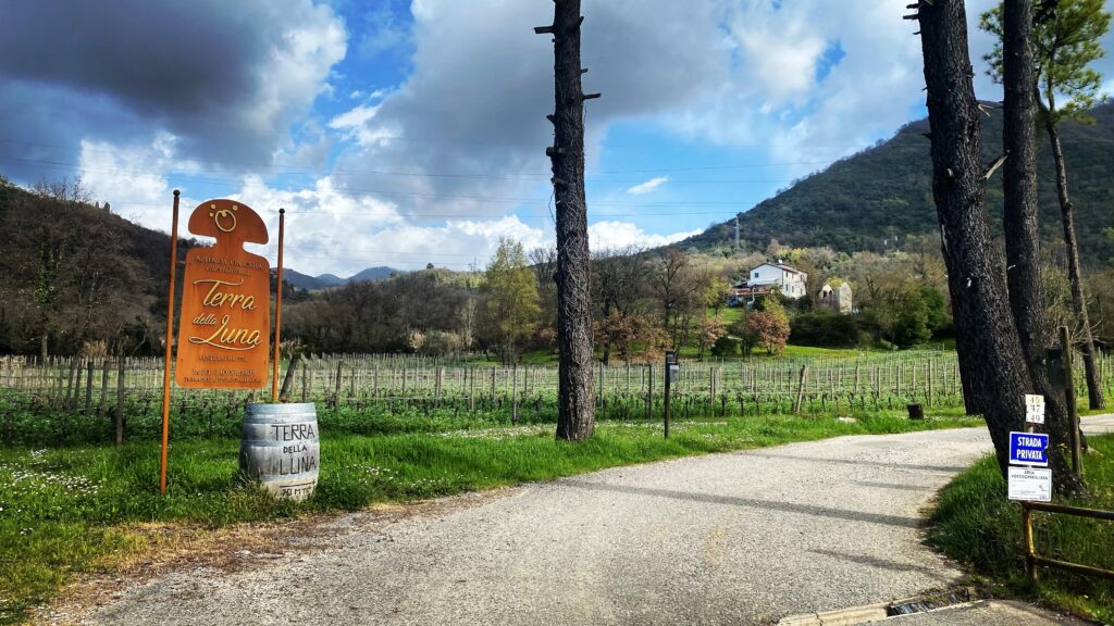 Terra della Luna, Ortonovo Ingresso
