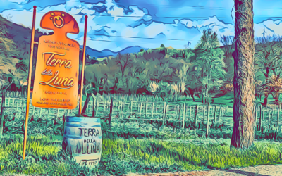 TERRA DELLA LUNA, Ortonovo (SP): la visita in cantina