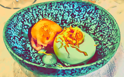 ERBALUIGIA, osteria contemporanea nel centro di Pisa