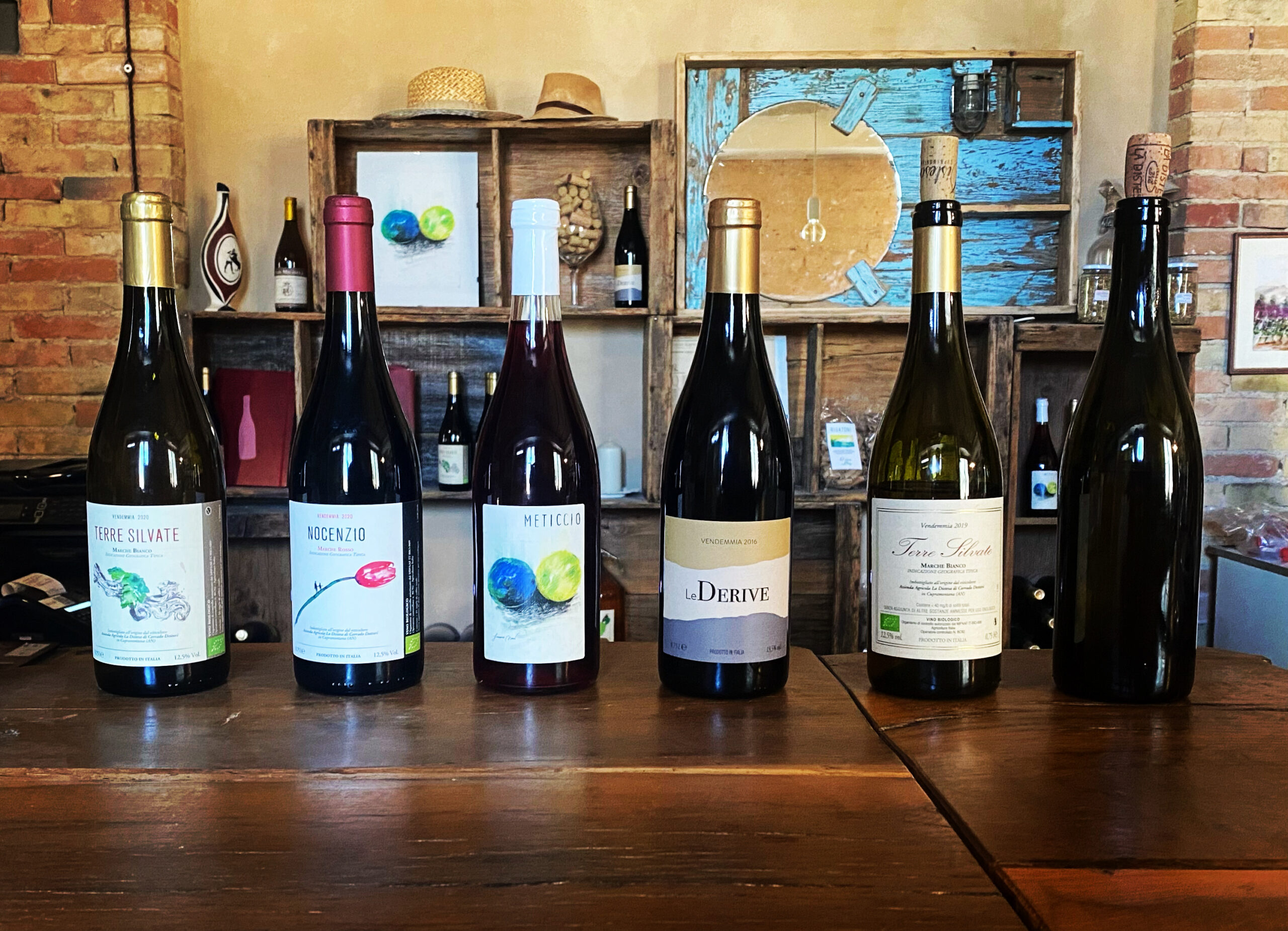 La Distesa visita in cantina Vigna Assaggi Cupramontana