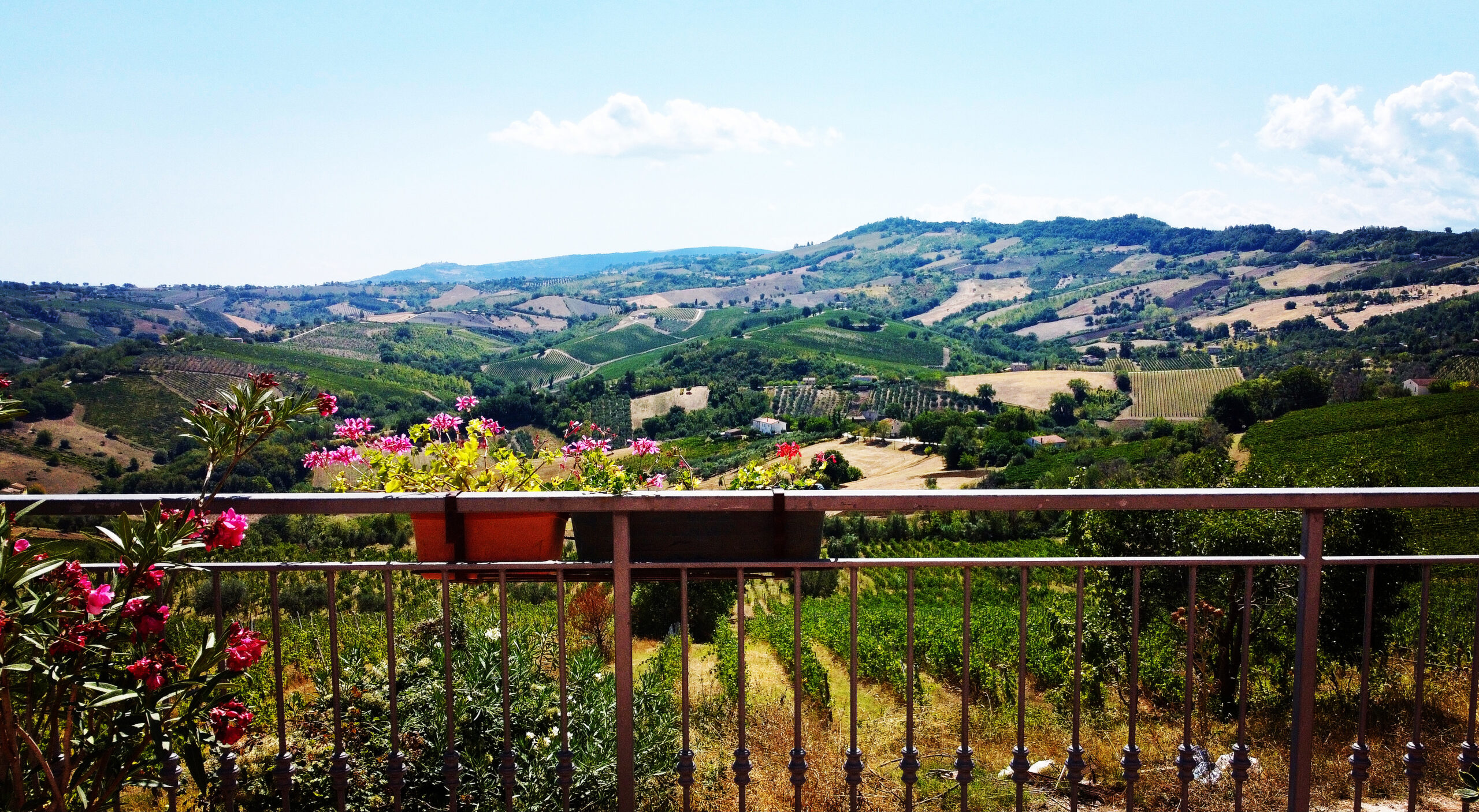 La Distesa Cupramontana visita in cantina Vigna