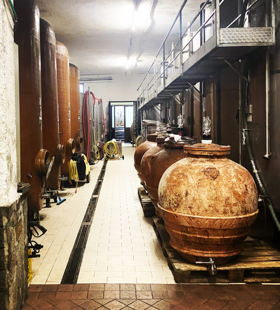 La Ricolla Ne Daniele Parma Cantina