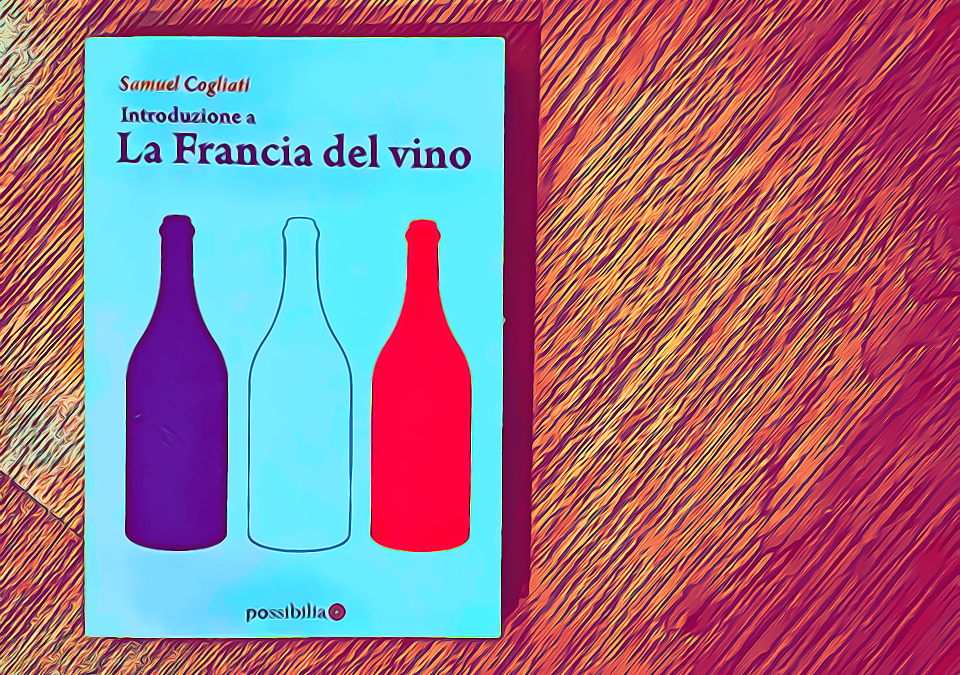 Introduzione alla Francia del vino