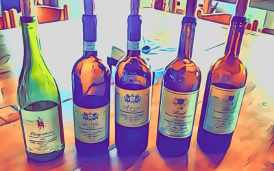 Elio ALTARE, La Morra (CN): la visita in cantina