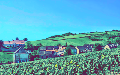 Viaggio attraverso la CÔTE DE NUITS in 7 vini by Il Bioselvatico