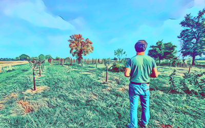 Podere MAGIA: esegesi di una cantina attraverso la bellezza di un pranzo tra sconosciuti