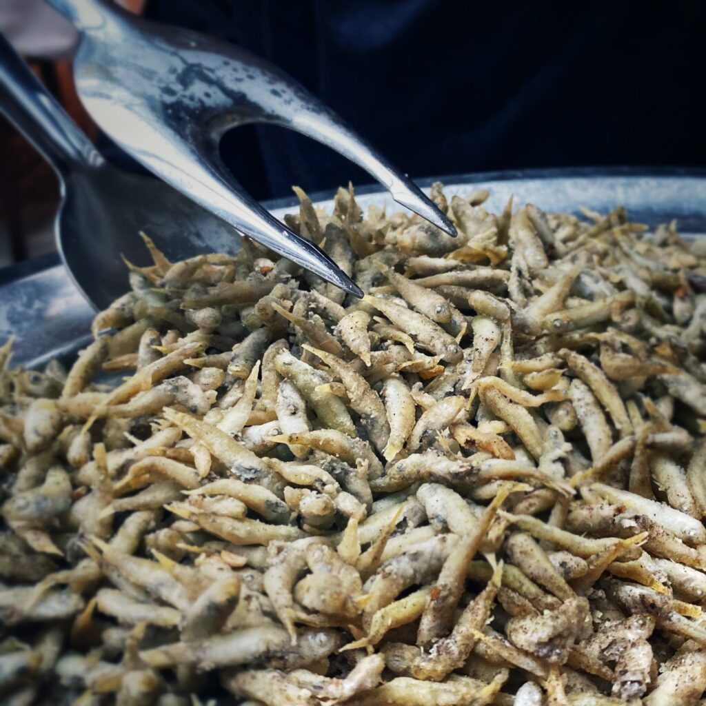 Pigneu Raieü Lavagna Pigneu Raieü Lavagna