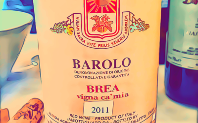 Barolo Brea “Vigna Ca’ Mia” 2011 di BROVIA