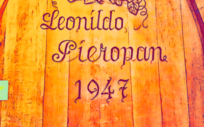 PIEROPAN, Soave (VR): la visita in cantina