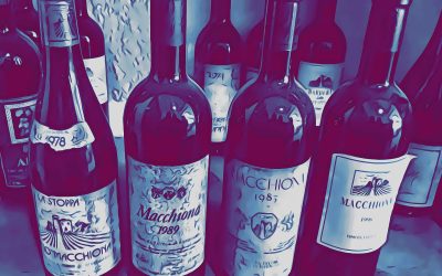 LA STOPPA, Rivergaro (PC): la visita in cantina