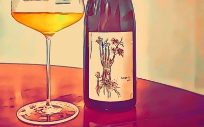 Riesling “Schiste” 2020 di SOIL THERAPY (Soultzmatt – FR): proprio un grande Riesling