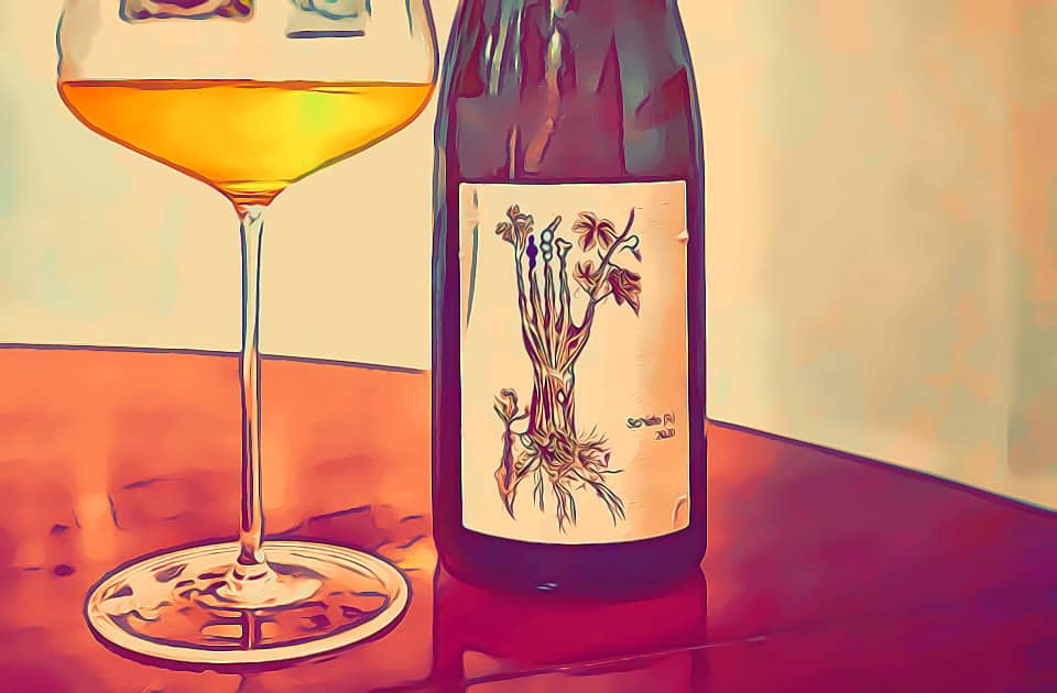 Riesling “Schiste” 2020 di SOIL THERAPY (Soultzmatt – FR): proprio un grande Riesling