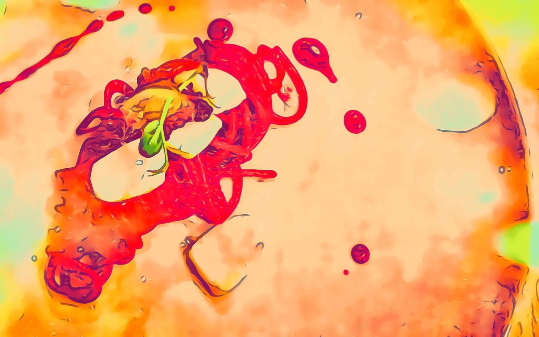 Ristorante del Grand Hotel dei Castelli