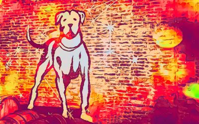 CANLIBERO, Torrecuso (BN): la visita in cantina