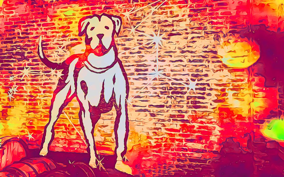 CANLIBERO, Torrecuso (BN): la visita in cantina