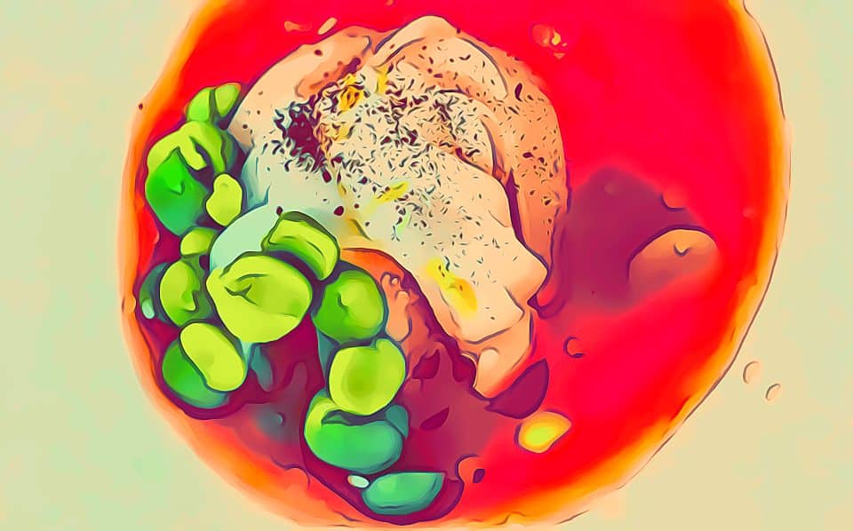 Ristorante Giglio Lucca