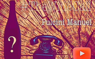 The Wine Call: PULCINI Manuel