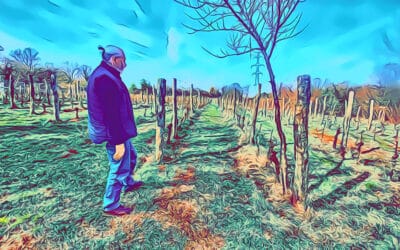 COTAR, Gorjansko: il tesoro di un’isola chiamata CARSO – La visita in cantina