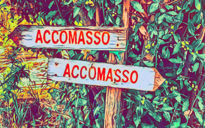 Cav. Lorenzo ACCOMASSO, la visita in cantina (La Morra – CN)