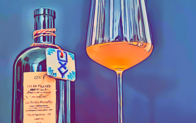 Oxy 2020 di LES PETITES PARCELLES (Sainte Croix du Mont – FR): conosci questo vino?