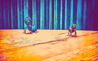 KRESIOS, Telese Terme (BN): facciamo un gioco?