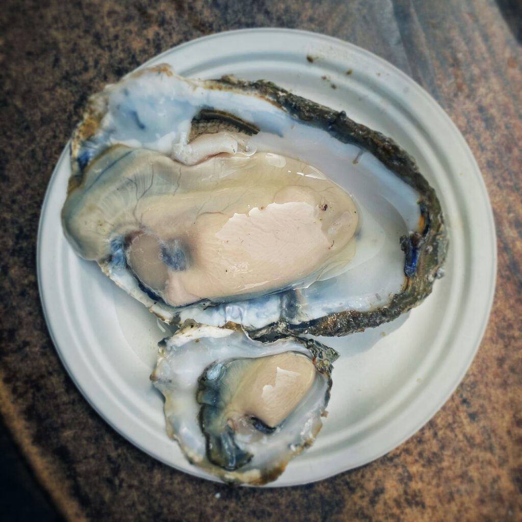 Mangiare bene a Londra senza andare al ristorante - Richard Haward's Oysters Mangiare bene a Londra senza andare al ristorante - Richard Haward's Oysters
