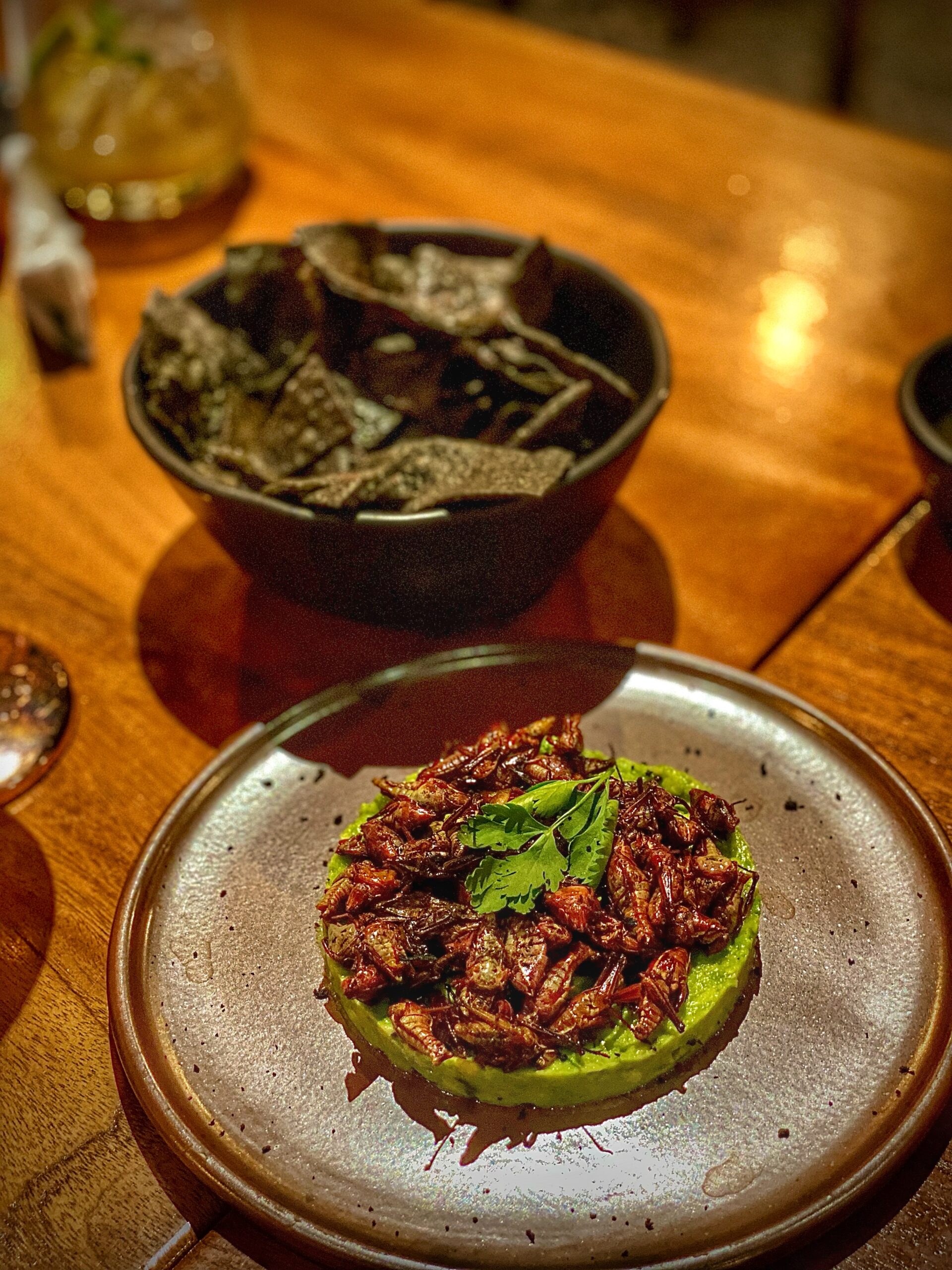 Messico: cucina ancestrale patrimonio dell’Unesco - Guacamole con Chapulines