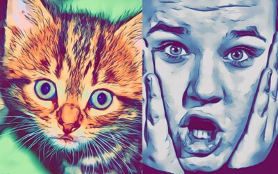 Grandi NOVITÀ su Enoplane.com!