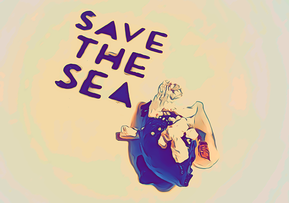 Marco Visciola al ristorante Il Marin - Cover