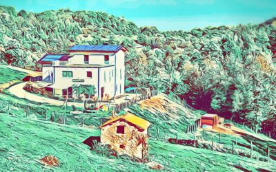 CASA COLET (Monastero di Vasco – CN): il racconto del pranzo domenicale dal premio Novità della guida Osterie d’Italia 2023