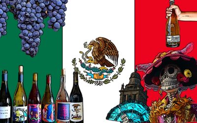VINOS NATURALES en México: como, donde y sobretodo porqué 🇲🇽