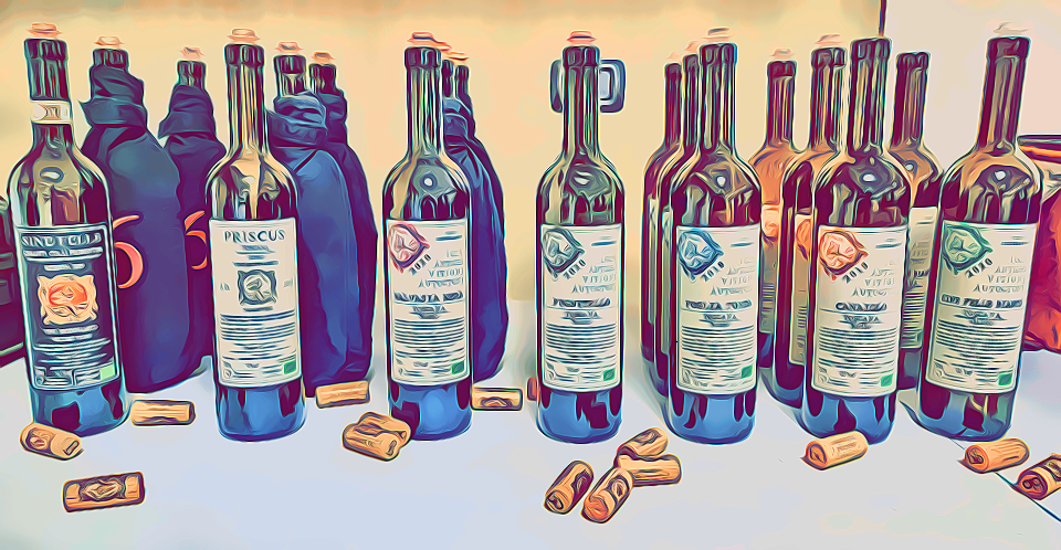 I vini di Podere Casaccia: una serata tra mezzadria e vitigni autoctoni toscani