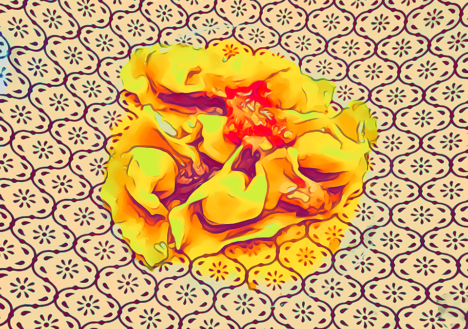 Al Solito Posto Bogliasco