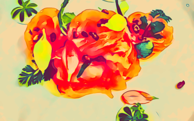 LA BUCA, Cesenatico (FC): una stella golosa è caduta nel canale