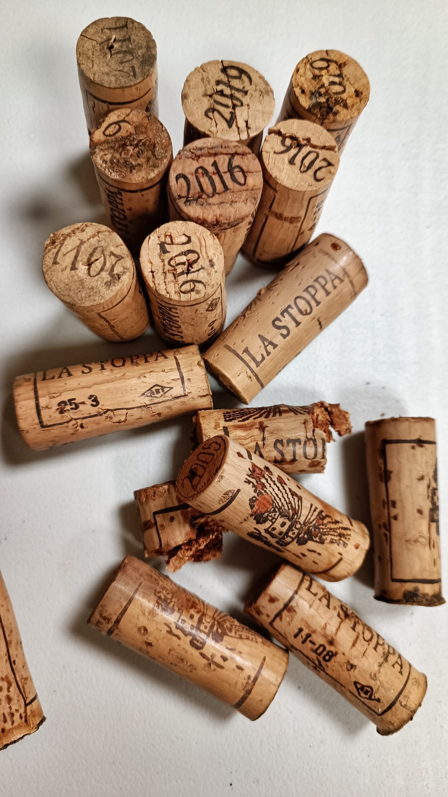 Verticale Ageno de La Stoppa: 6 annate di uno degli orange wine più iconici d'Italia - Tappi