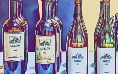 Verticale Ageno de LA STOPPA: 6 annate di uno degli orange wine più iconici d’Italia