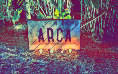 ARCA, Tulum: dalle ceneri del Noma Mexico un ristorante assurdo (con MENU)