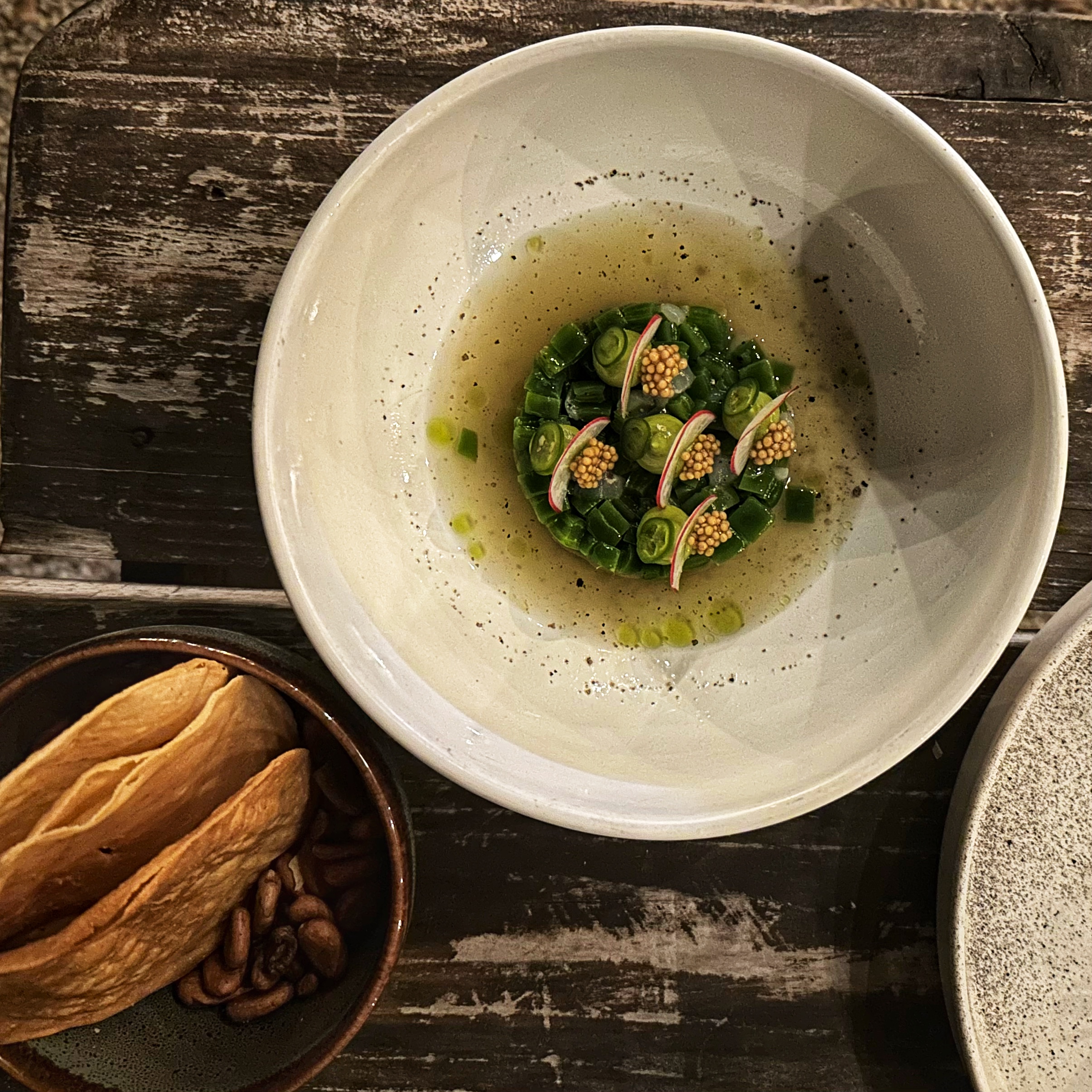 Macario Bacalar - Tostada di nopale (cactus) marinato