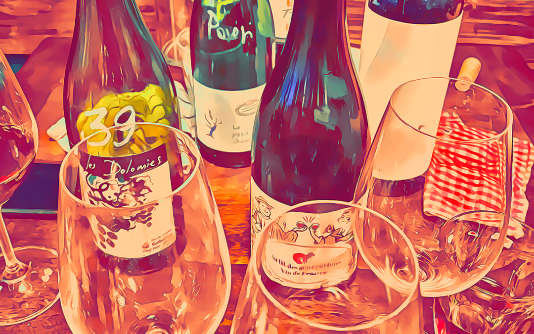 Da ANDERS FREDERIK STEEN a LES PIEDS SUR TERRE - Cover