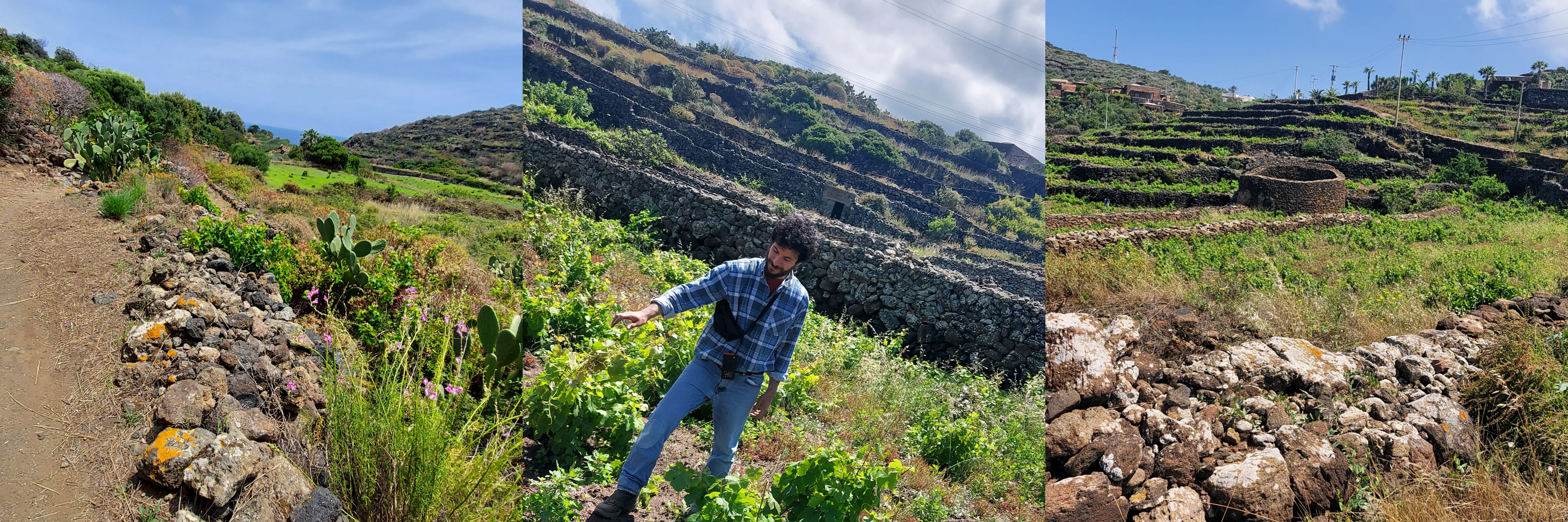 Francesco Ferrire di Tanca Nica nel Terra Forte - Viaggio a Pantelleria