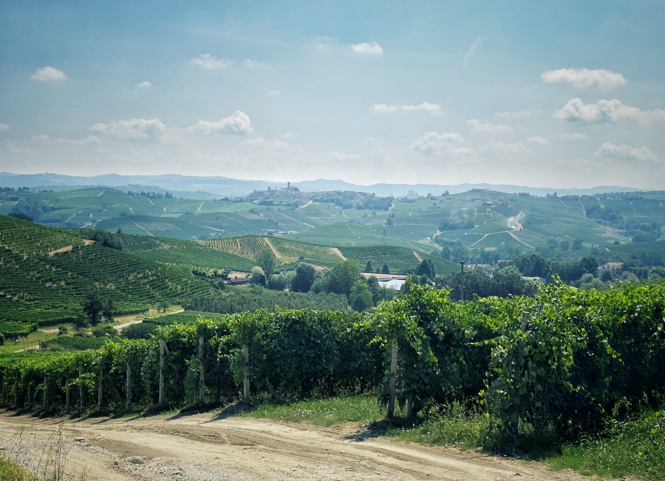 CASCINA FONTANA (Monforte d'Alba), un'avventura nel Barolo lunga 6 generazioni - Giachini