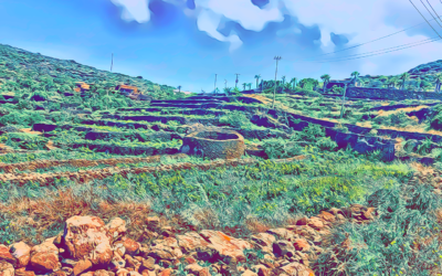 Viaggio a PANTELLERIA: Tanca Nica, De Bartoli, l’outsider e fatica