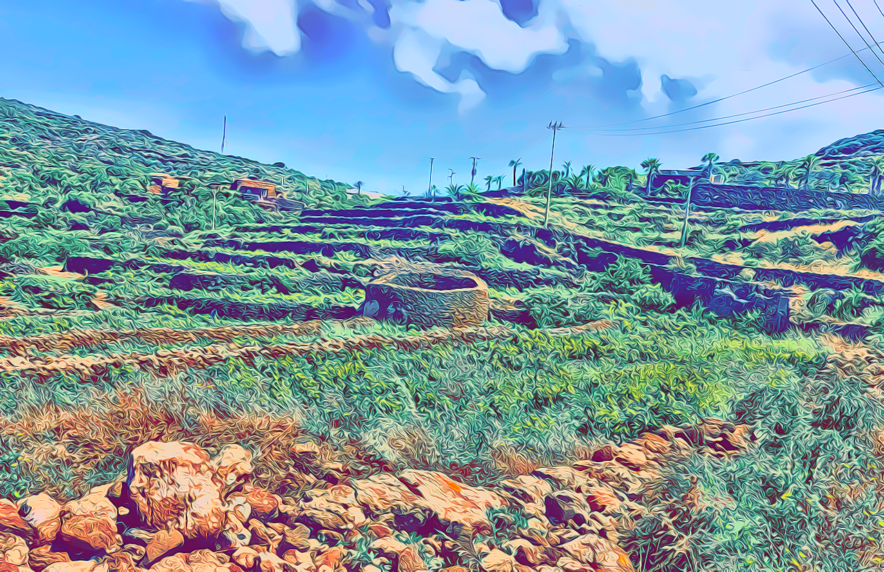 Viaggio a Pantelleria: De Bartoli, Tanca Nica, l'outsider e fatica - Cover